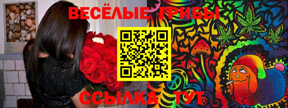 Псилоцибиновые грибы прущие грибы Советский
