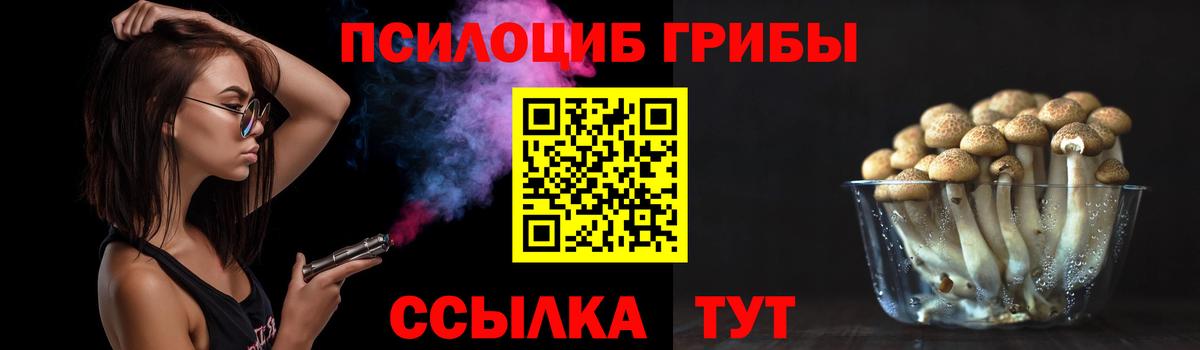 Псилоцибиновые грибы Cubensis  Вход с VPN  цены   Советский 